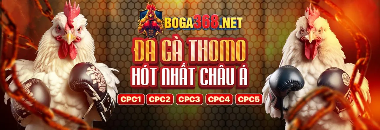 Đá Gà Trực Tuyến Hấp Dẫn tại 95vn